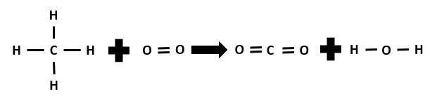 example.