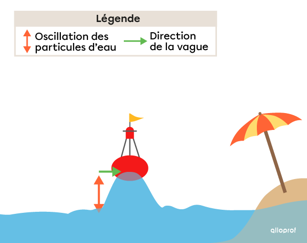 Progression de la vague vers la côte. La bouée retrouve sa position initiale.
