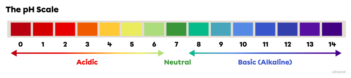 Acidic substances have pH values below 7. A pH value of 7 indicates a neutral substance. Basic, or alkaline, substances have pH values above 7.