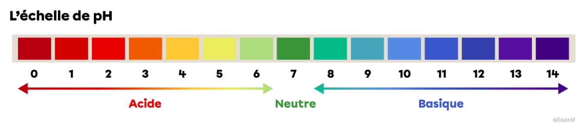 Les valeurs de pH comprises entre 0 et 6 décrivent des substances acides. Un pH de 7 désigne une substance neutre. Les valeurs de pH comprises entre 8 et 14 décrivent des substances basiques.