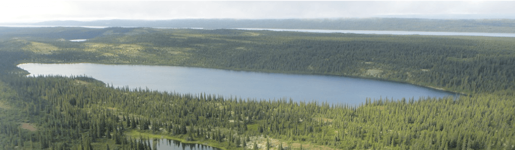 Photograph of Lake Joyce.